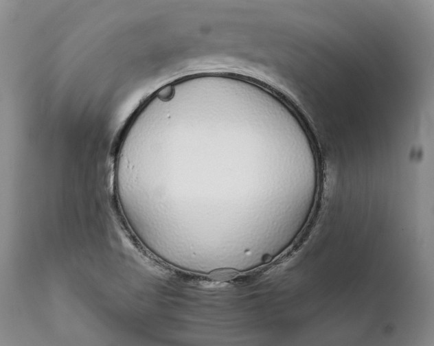X0000112041509200908241550