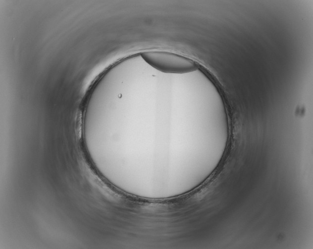 X0000112041510200908241550