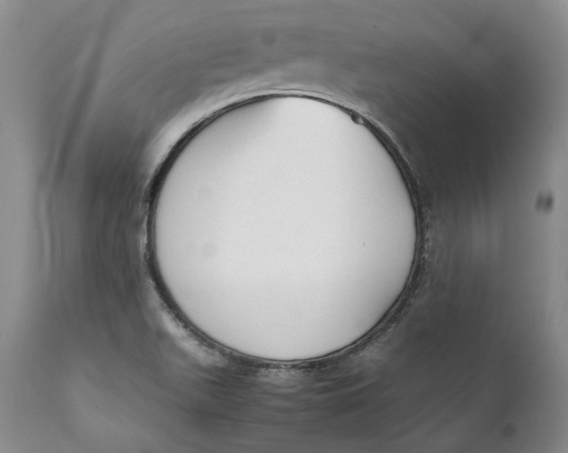 X0000112041511200908241550