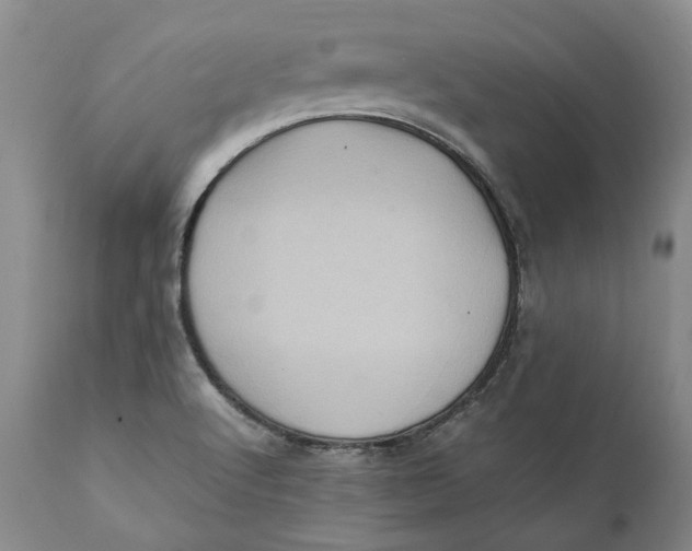 X0000112041512200908241550