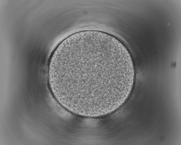 X0000112041514200908241550