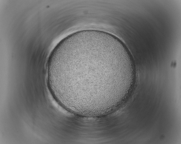 X0000112041515200908241550