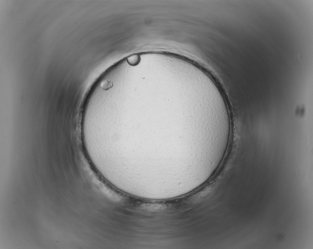 X0000112041517200908241550