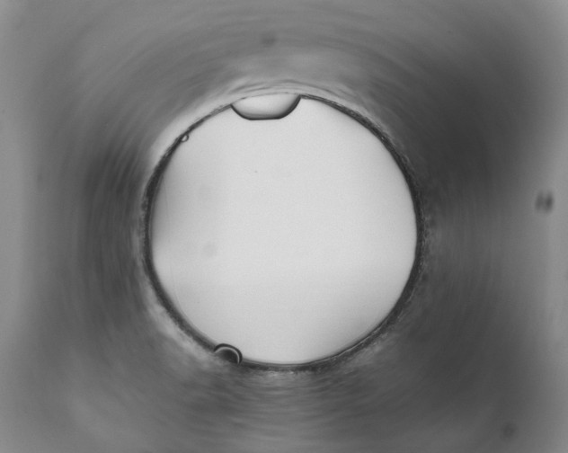 X0000112041518200908241550