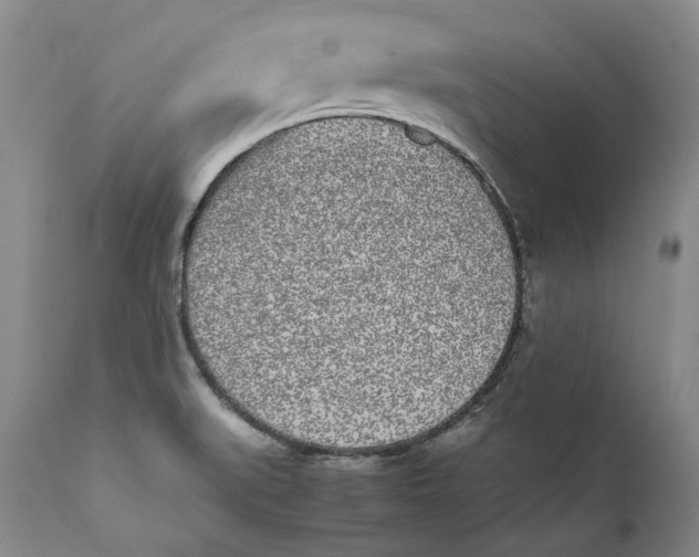 X0000112041519200908241550