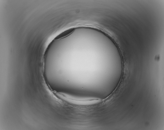 X0000112041520200908241550