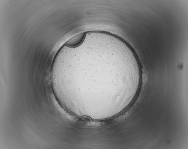 X0000112041521200908241550