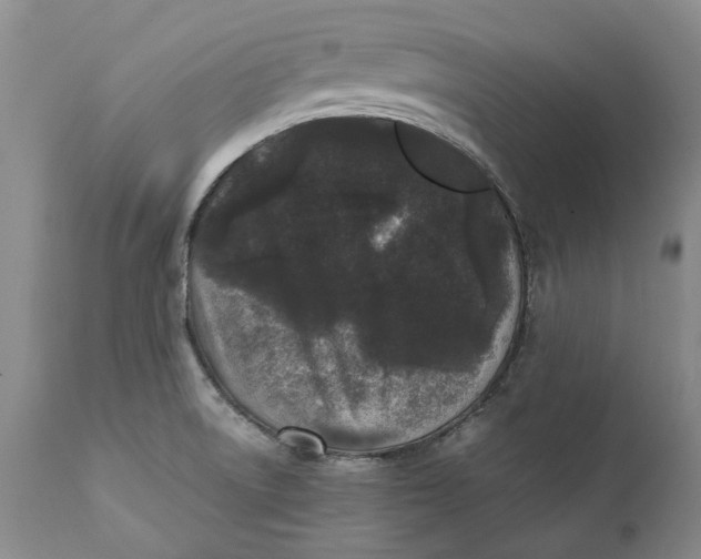 X0000112041522200908241550
