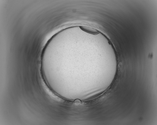 X0000112041523200908241550