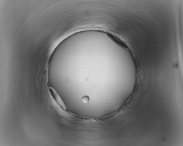 X0000112041524200908241550