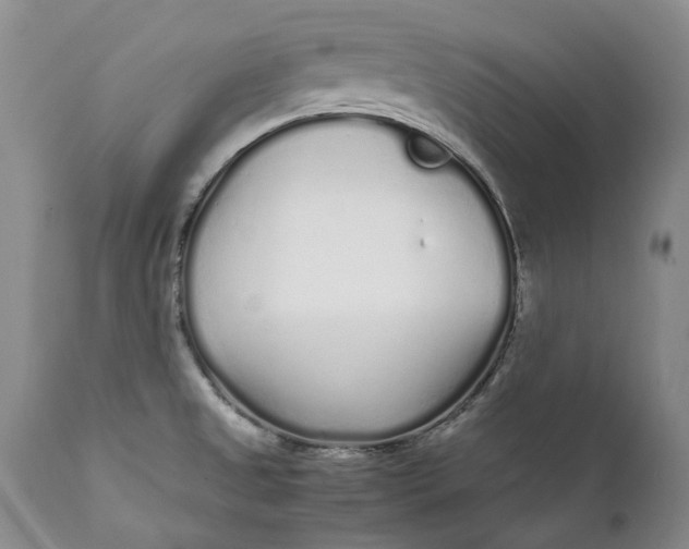X0000112041525200908241550