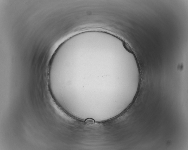 X0000112041526200908241550