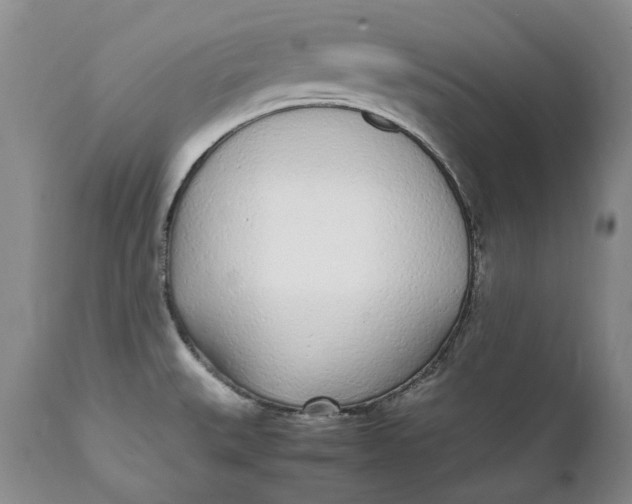 X0000112041527200908241550