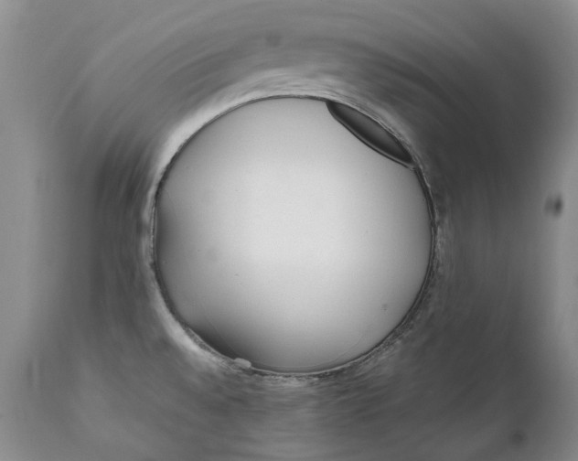 X0000112041528200908241550