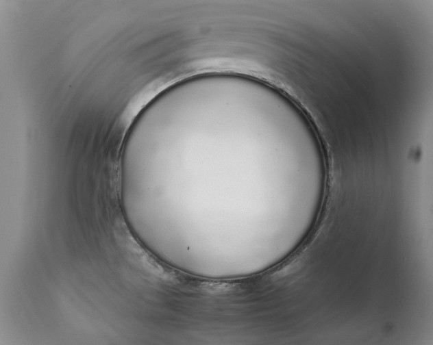 X0000112041529200908241550