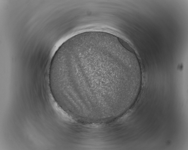 X0000112041530200908241550