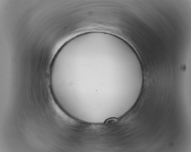 X0000112041531200908241550