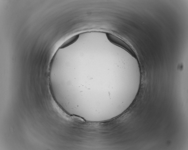 X0000112041532200908241550