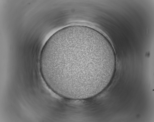 X0000112041533200908241550