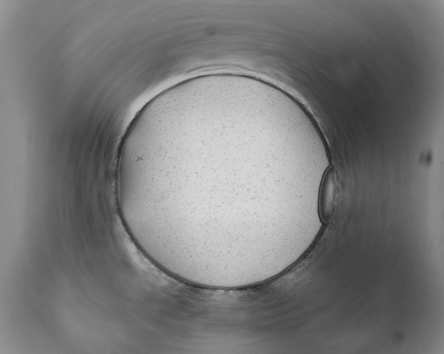 X0000112041534200908241550