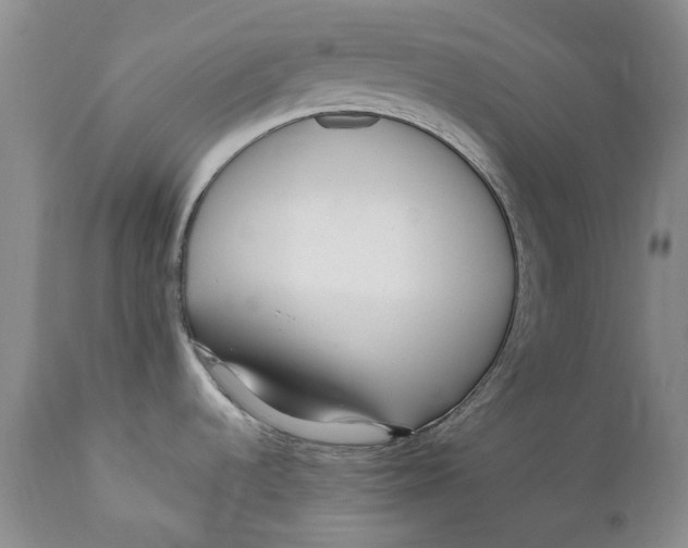 X0000112041536200908241550