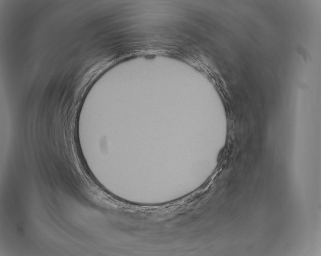 X0000112040001200908311246