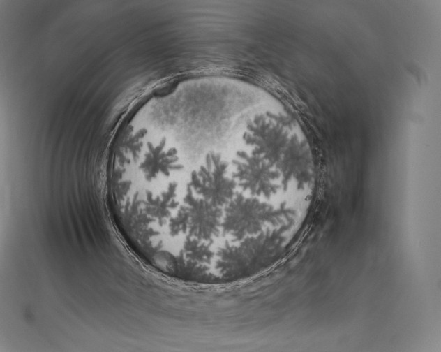 X0000112040002200908311246