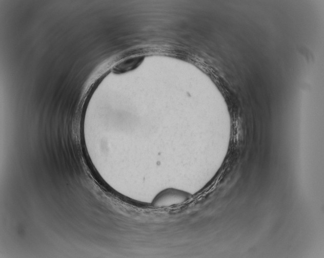 X0000112040004200908311246