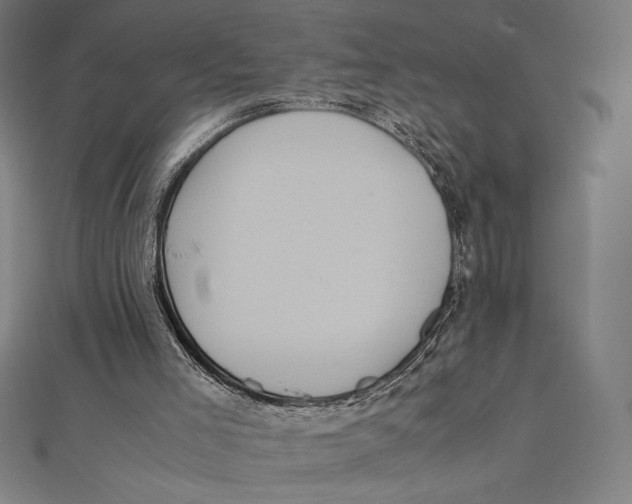 X0000112040005200908311246