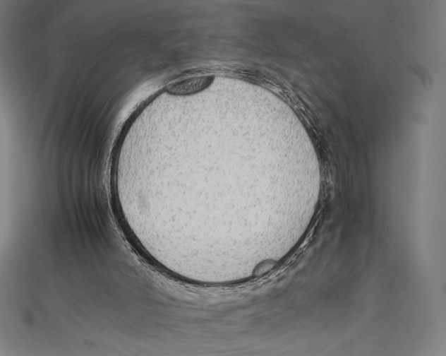 X0000112040006200908311246