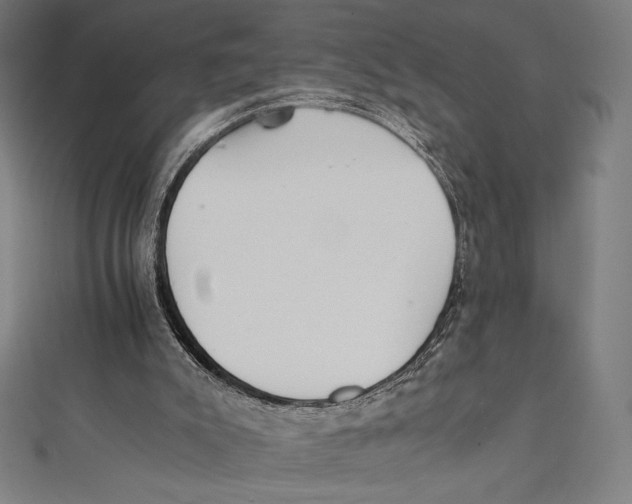 X0000112040007200908311246