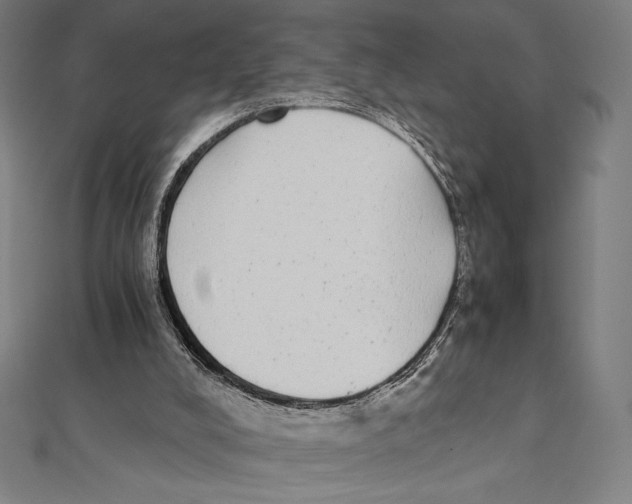 X0000112040008200908311246