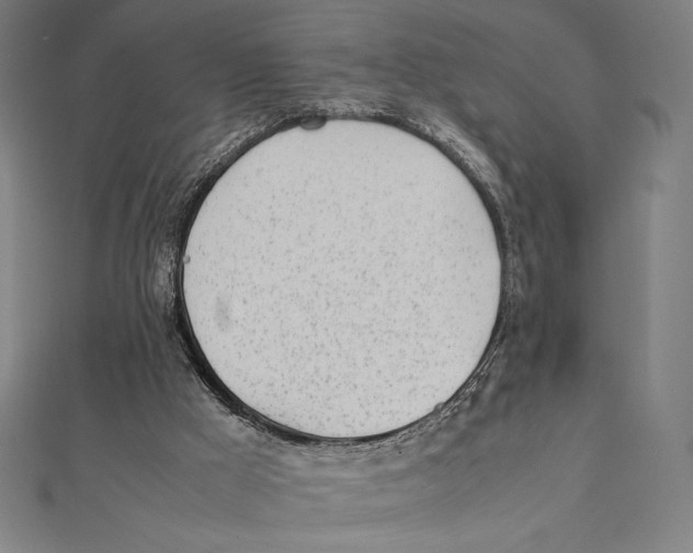X0000112040009200908311246