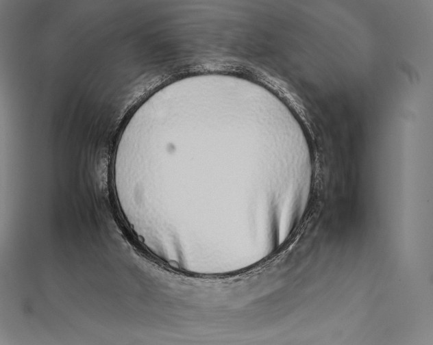 X0000112040010200908311246