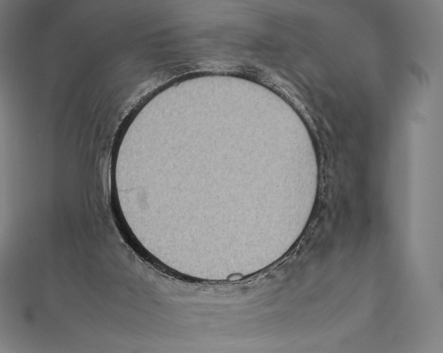 X0000112040011200908311246