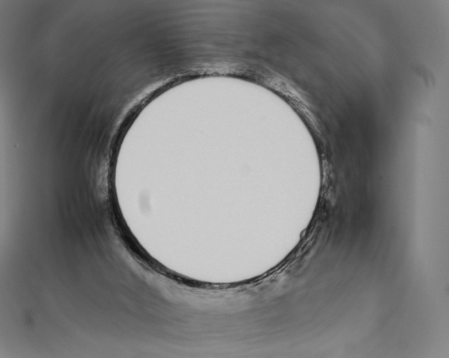 X0000112040012200908311246