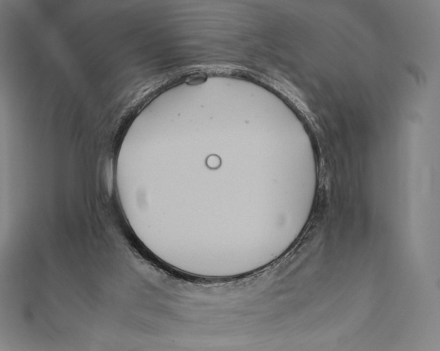 X0000112040013200908311245