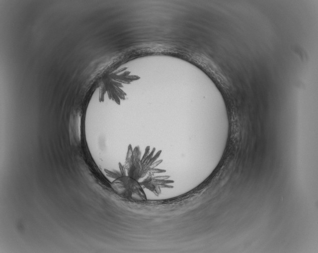 X0000112040014200908311245