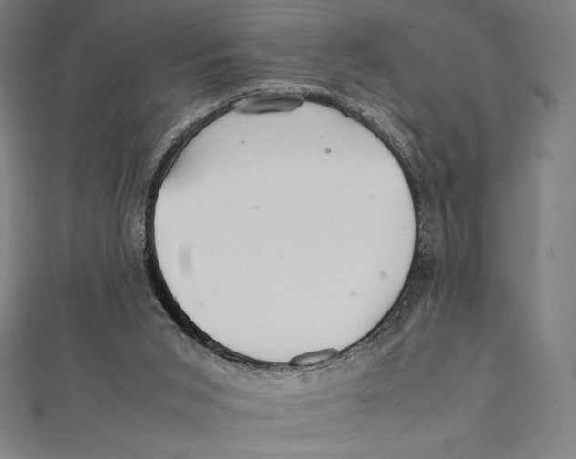X0000112040015200908311245