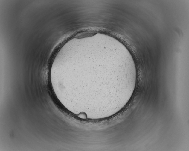 X0000112040016200908311245