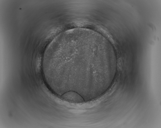X0000112040018200908311245