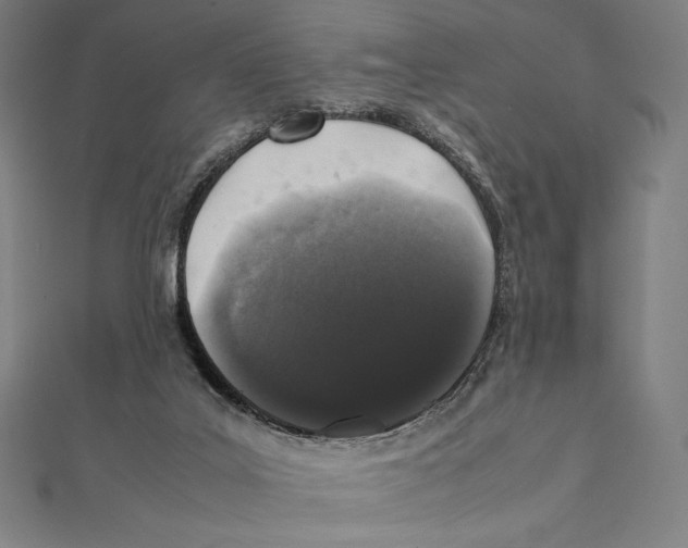 X0000112040019200908311245