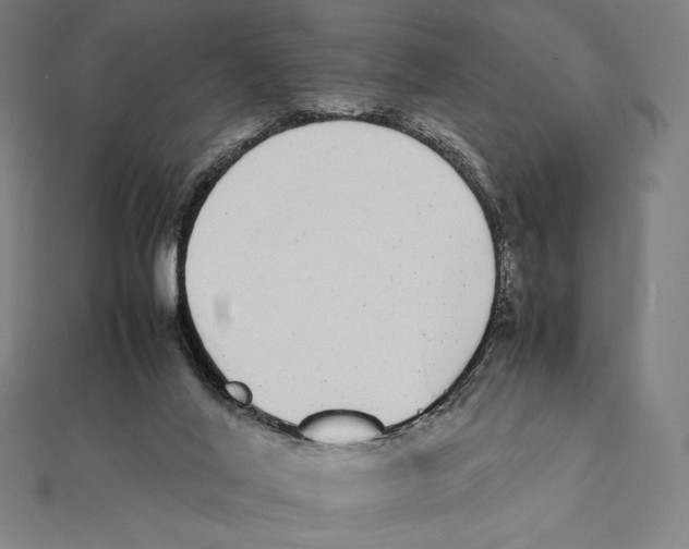 X0000112040020200908311245