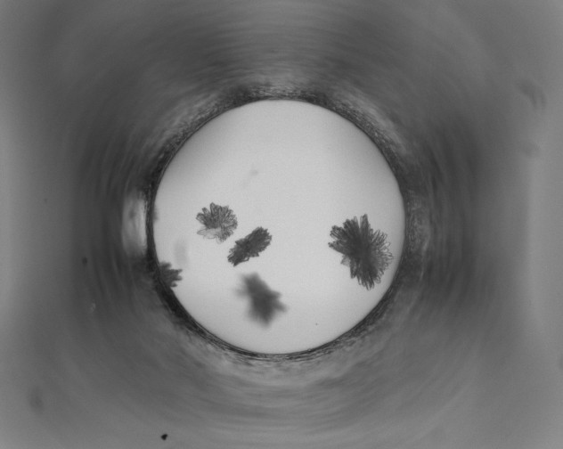 X0000112040022200908311245