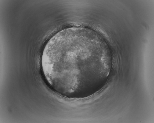 X0000112040023200908311245