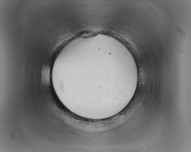 X0000112040024200908311245