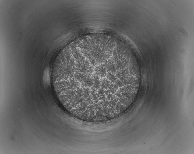 X0000112040026200908311245