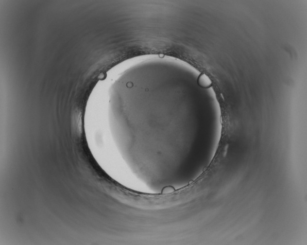 X0000112040027200908311245