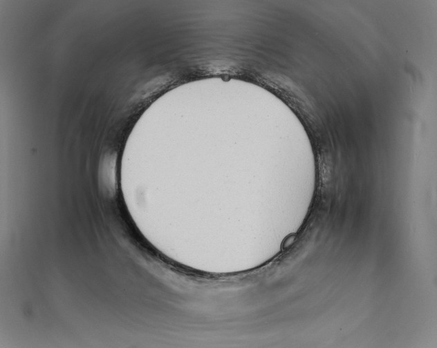 X0000112040028200908311245