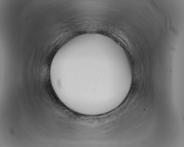 X0000112040029200908311245